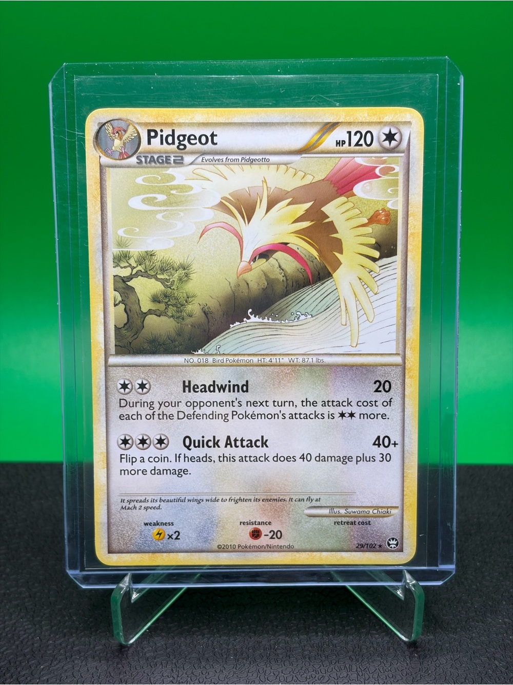 2010 Triumphant Pidgeot Pokemon Card